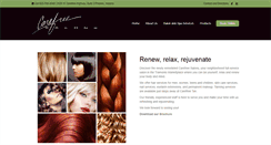 Desktop Screenshot of carefreesalons.com